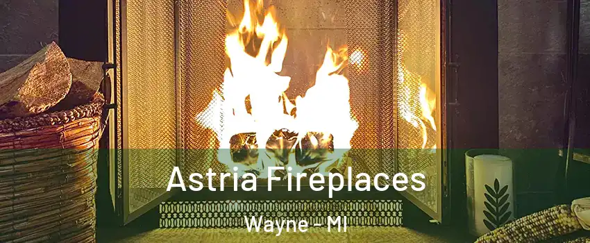  Astria Fireplaces Wayne - MI
