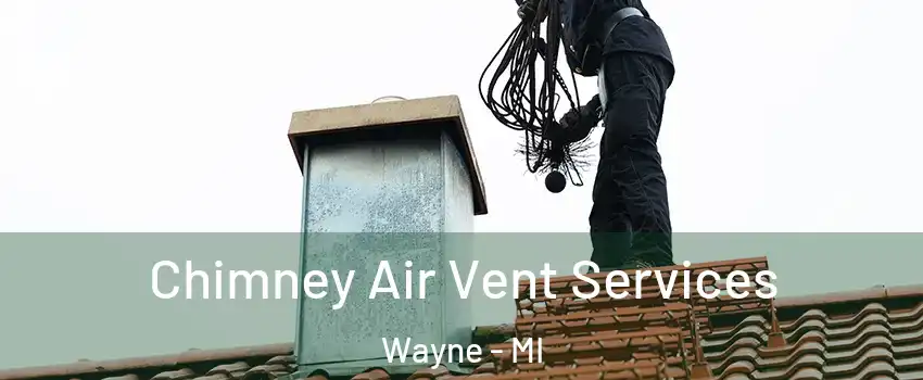  Chimney Air Vent Services Wayne - MI