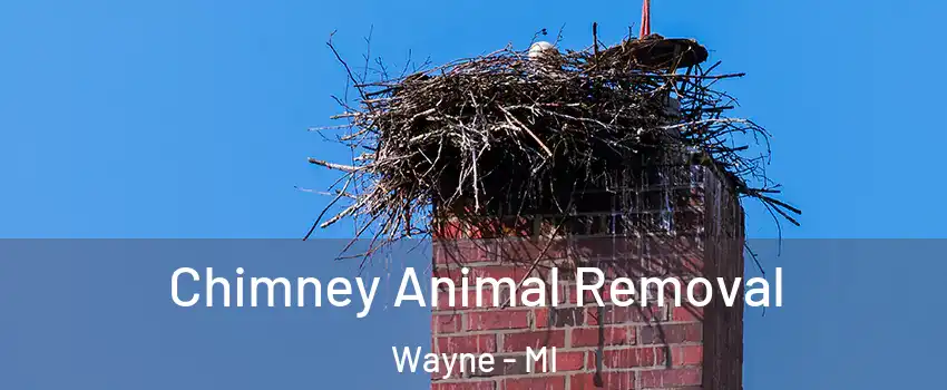 Chimney Animal Removal Wayne - MI