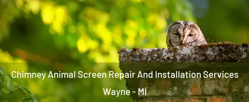 Chimney Animal Screen Repair And Installation Services Wayne - MI