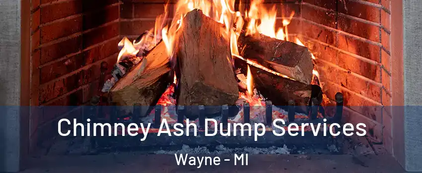  Chimney Ash Dump Services Wayne - MI