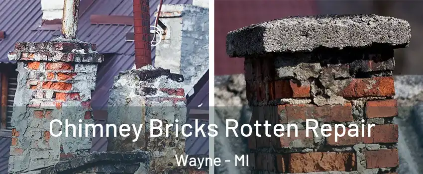 Chimney Bricks Rotten Repair Wayne - MI