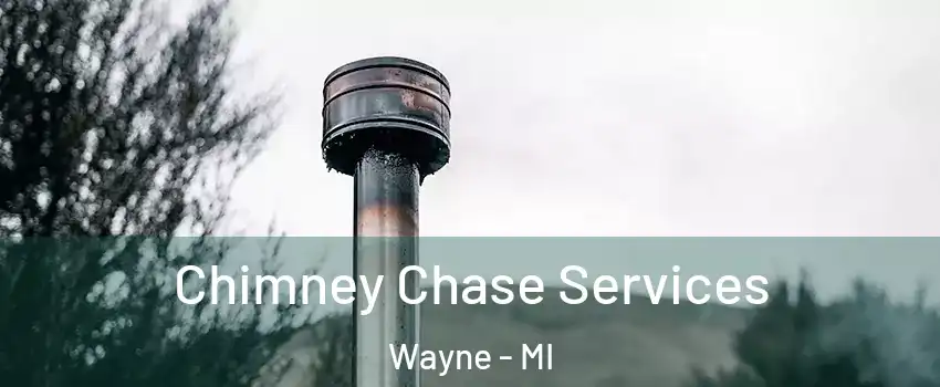  Chimney Chase Services Wayne - MI