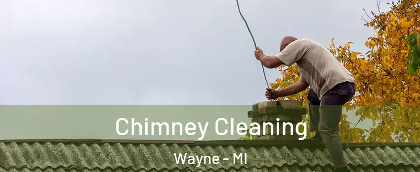 Chimney Cleaning Wayne - MI
