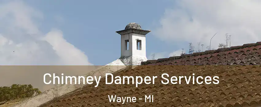 Chimney Damper Services Wayne - MI