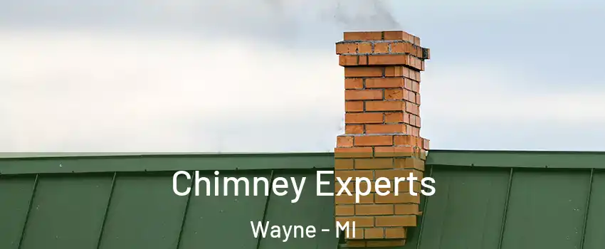 Chimney Experts Wayne - MI