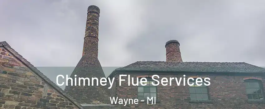 Chimney Flue Services Wayne - MI