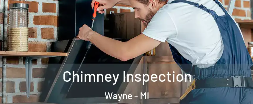  Chimney Inspection Wayne - MI