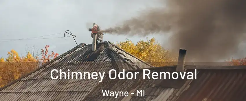  Chimney Odor Removal Wayne - MI