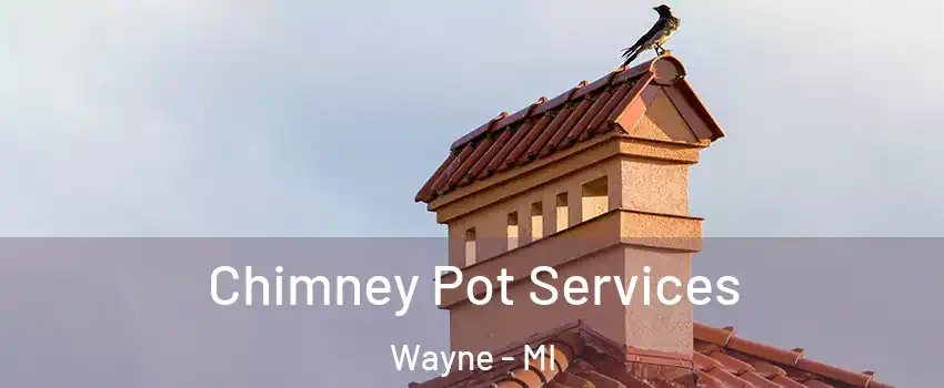 Chimney Pot Services Wayne - MI