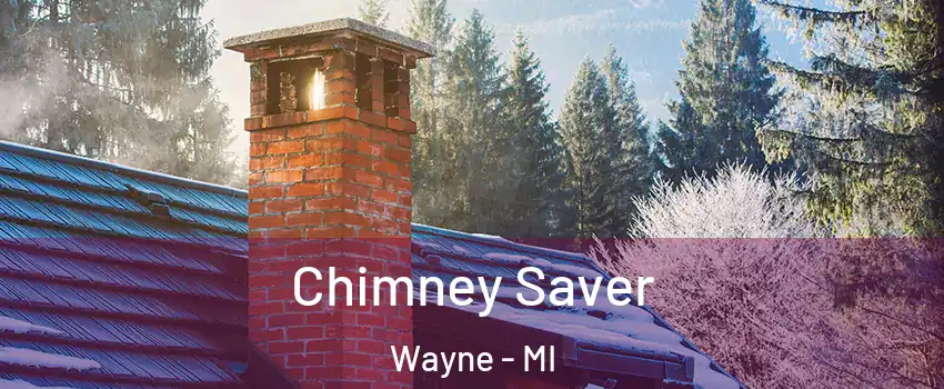Chimney Saver Wayne - MI