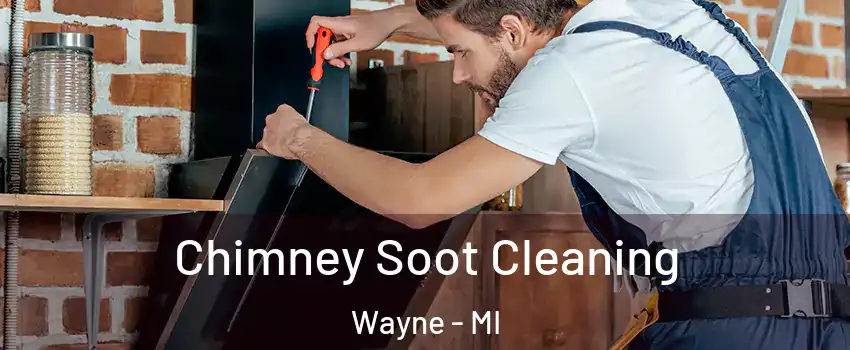 Chimney Soot Cleaning Wayne - MI