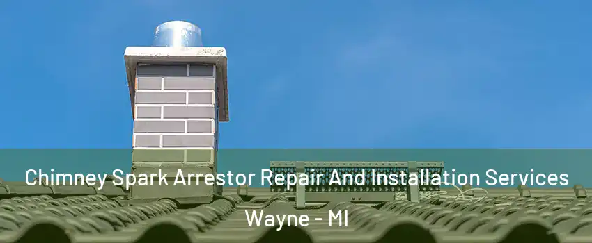 Chimney Spark Arrestor Repair And Installation Services Wayne - MI