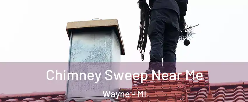 Chimney Sweep Near Me Wayne - MI
