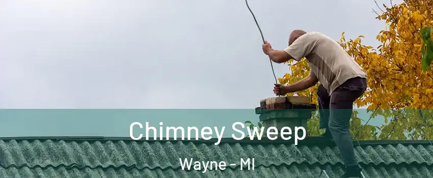 Chimney Sweep Wayne - MI