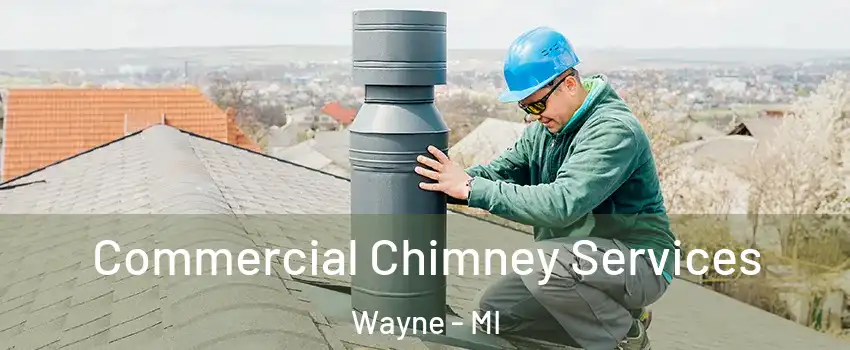 Commercial Chimney Services Wayne - MI