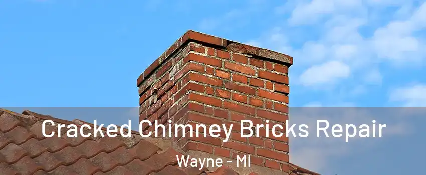 Cracked Chimney Bricks Repair Wayne - MI