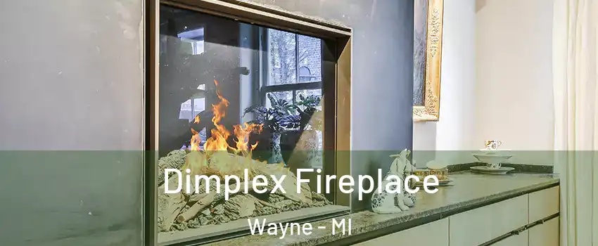 Dimplex Fireplace Wayne - MI