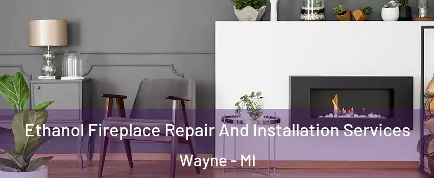  Ethanol Fireplace Repair And Installation Services Wayne - MI