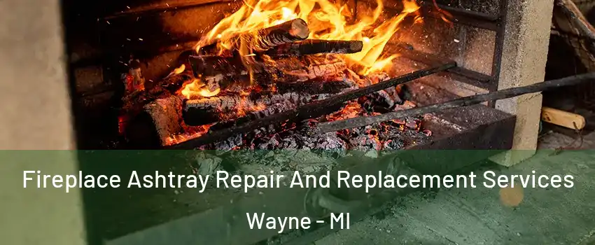 Fireplace Ashtray Repair And Replacement Services Wayne - MI