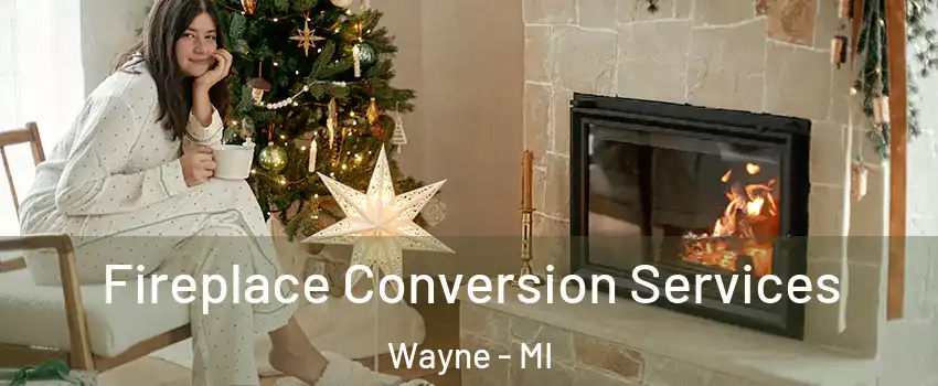 Fireplace Conversion Services Wayne - MI