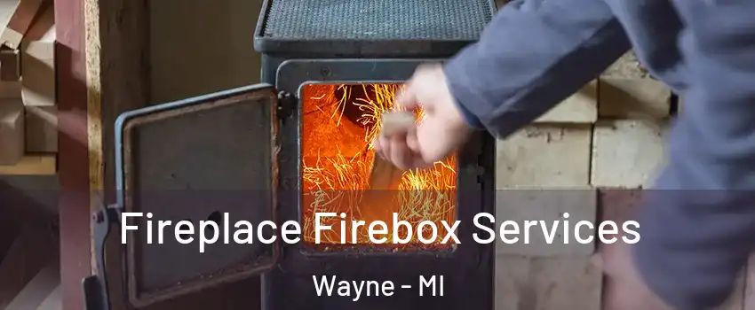  Fireplace Firebox Services Wayne - MI