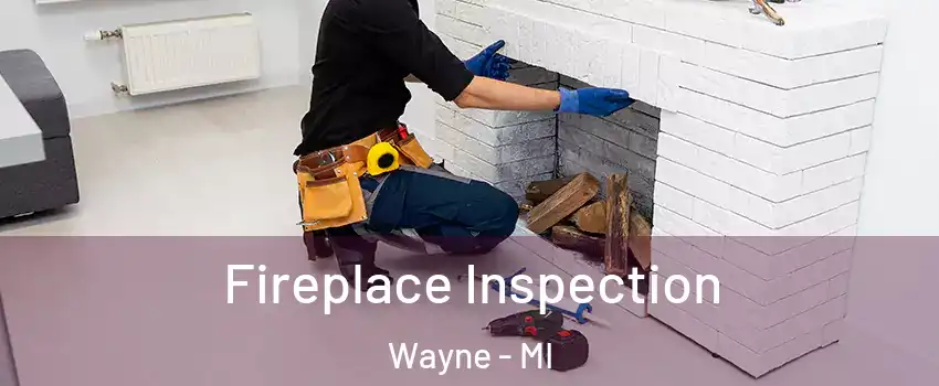  Fireplace Inspection Wayne - MI
