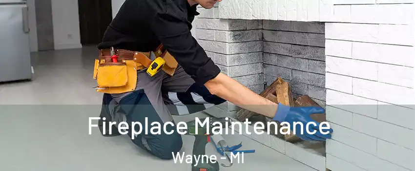 Fireplace Maintenance Wayne - MI