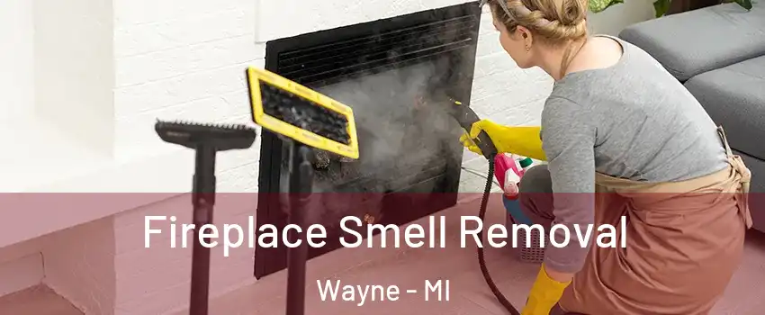 Fireplace Smell Removal Wayne - MI