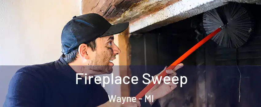  Fireplace Sweep Wayne - MI