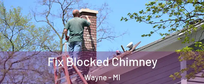 Fix Blocked Chimney Wayne - MI