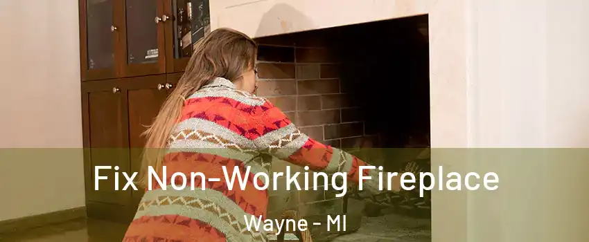 Fix Non-Working Fireplace Wayne - MI