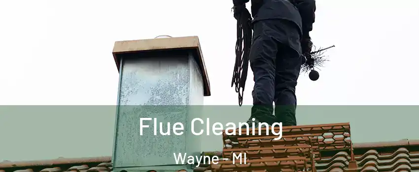 Flue Cleaning Wayne - MI