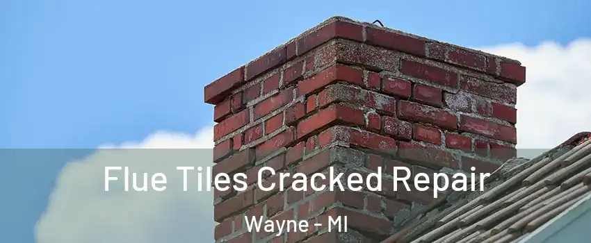 Flue Tiles Cracked Repair Wayne - MI