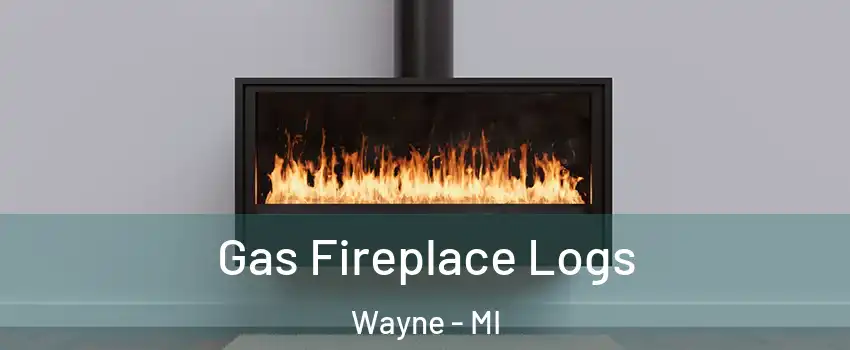  Gas Fireplace Logs Wayne - MI