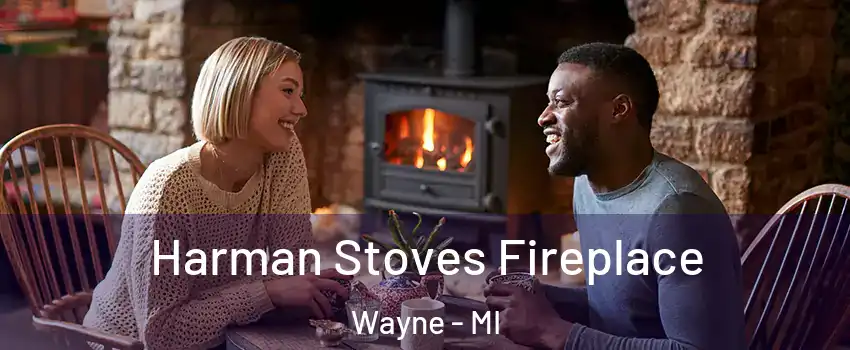  Harman Stoves Fireplace Wayne - MI