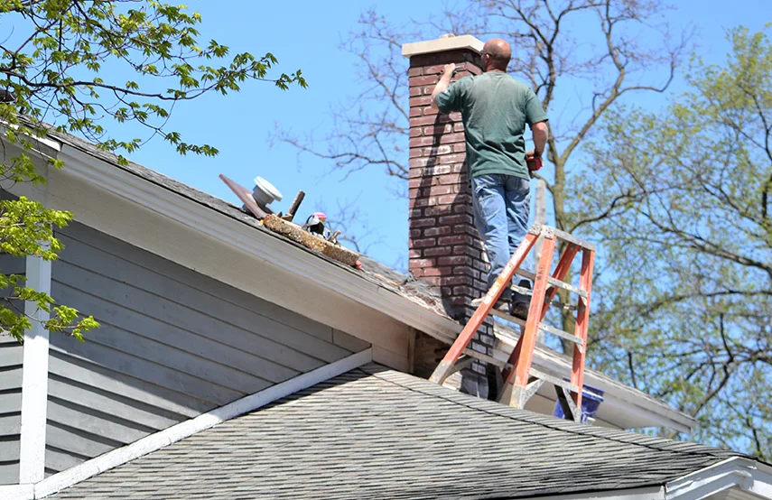 Chimney & Fireplace Inspections Services in Wayne, MI