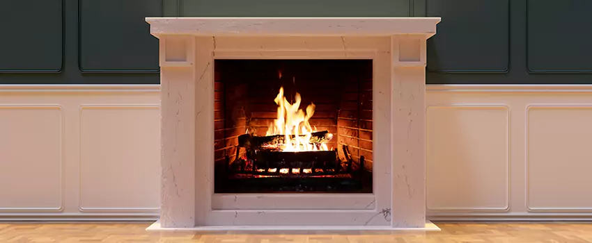 Empire Comfort Systems Fireplace Installation and Replacement in Wayne, Michigan