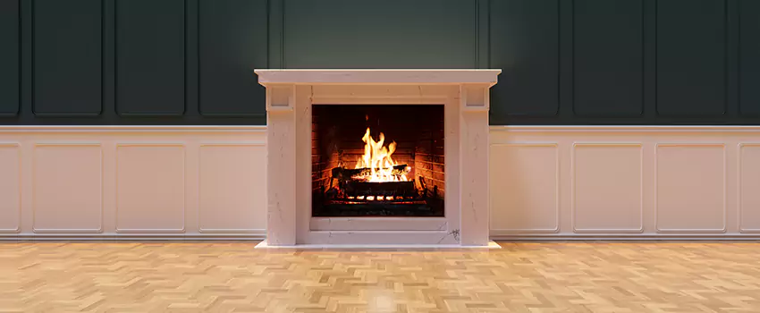Napoleon Electric Fireplaces Inspection Service in Wayne, Michigan