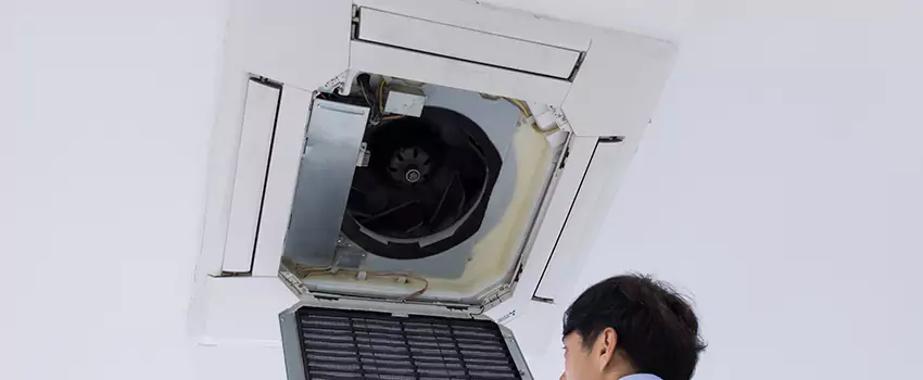 Benefits of Professional Air Duct Cleaning in Wayne, Michigan