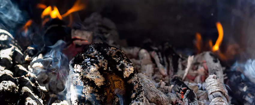 Creosote Removal Experts in Wayne, MI