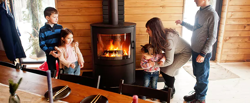Jøtul Gas Fireplace Inspection Service in Wayne, Michigan