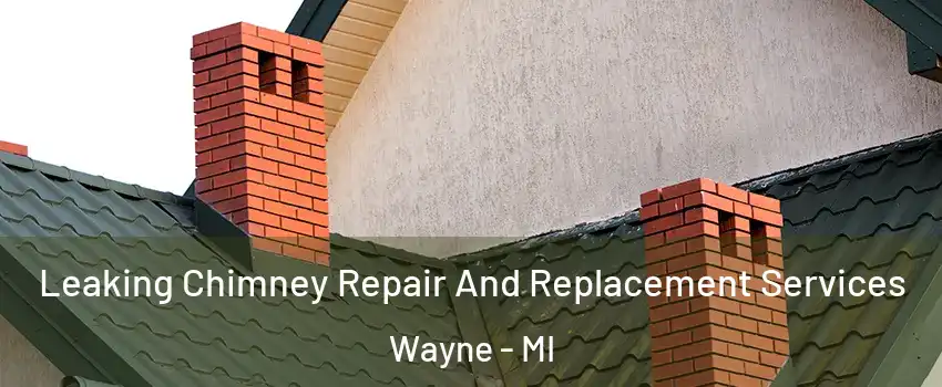 Leaking Chimney Repair And Replacement Services Wayne - MI