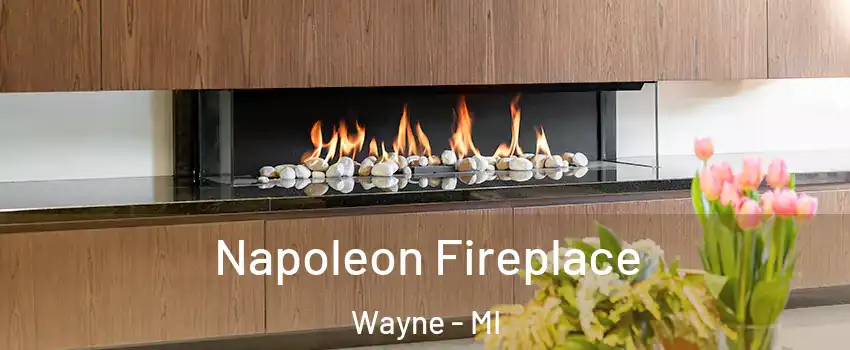 Napoleon Fireplace Wayne - MI