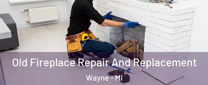  Old Fireplace Repair And Replacement Wayne - MI