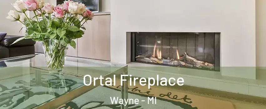 Ortal Fireplace Wayne - MI