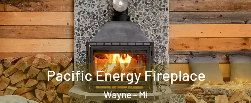 Pacific Energy Fireplace Wayne - MI