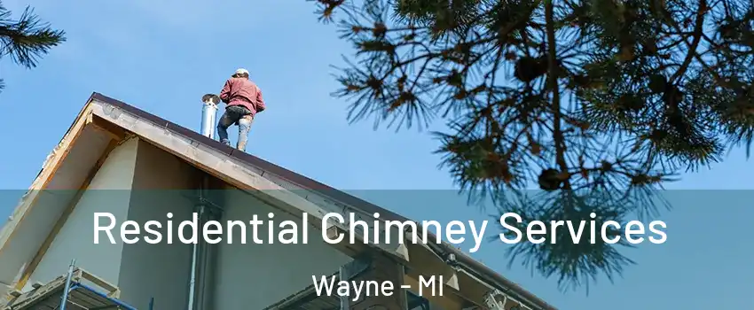 Residential Chimney Services Wayne - MI