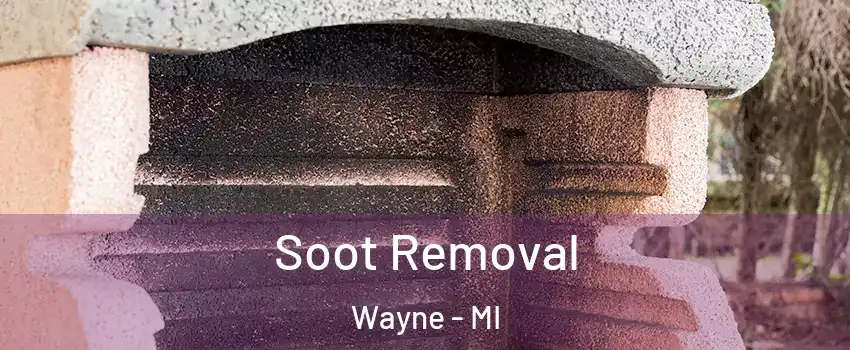 Soot Removal Wayne - MI