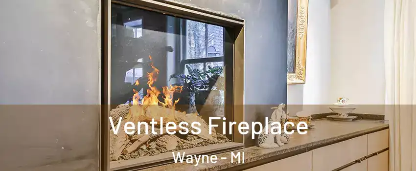 Ventless Fireplace Wayne - MI